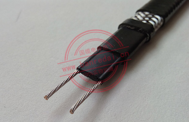 低溫型自限溫電伴熱帶結(jié)構(gòu)圖